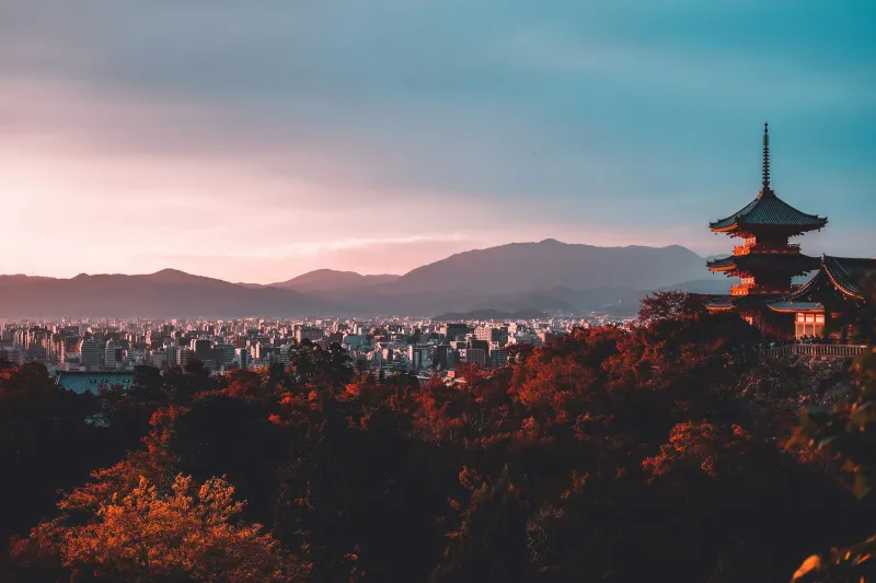 Yaponiya — 8 kun